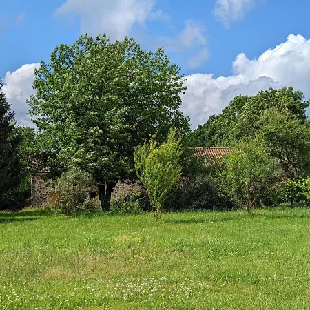 Spacieuse Maison A Avec Jardin Privatif - Fr-1-653-213 * Massignac