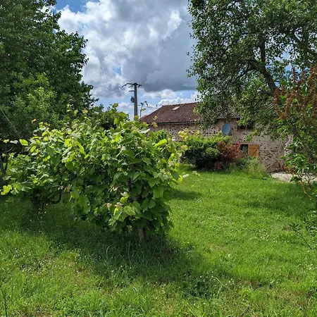 Spacieuse Maison A Avec Jardin Privatif - Fr-1-653-213 Massignac