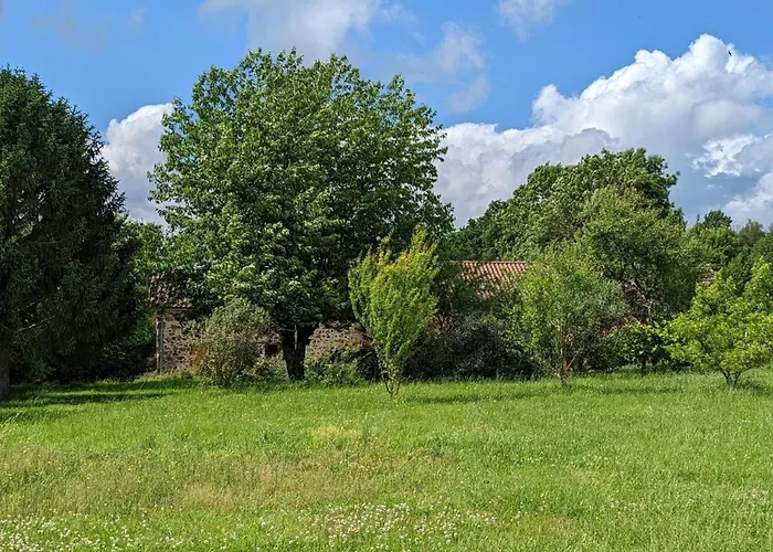 Spacieuse Maison A Avec Jardin Privatif - Fr-1-653-213 * Massignac